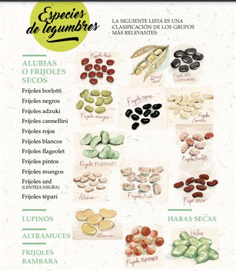 Cuadro decorativo hecho con diferentes tipos de legumbres