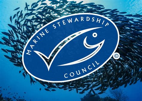 Logo MSC (Marine Stewardship Council)