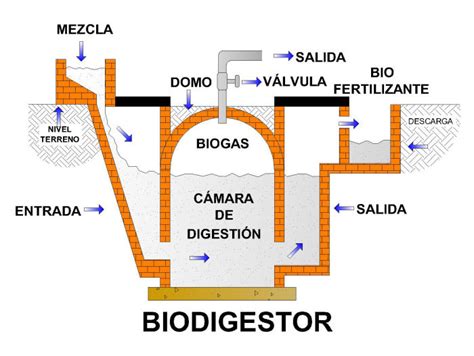 Esquema de un biodigestor