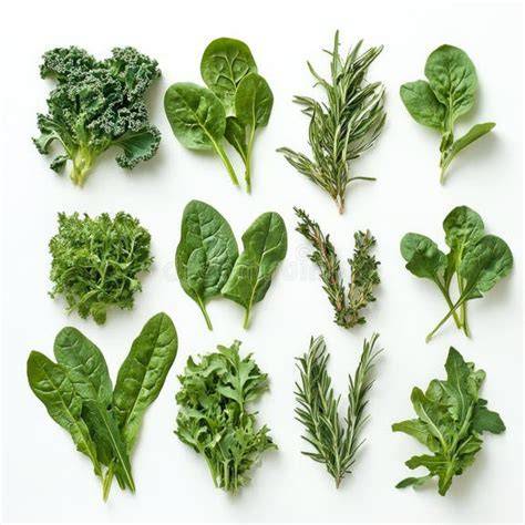 Variedad de hierbas frescas y secas en cuencos pequeños, con etiquetas de sus nombres.