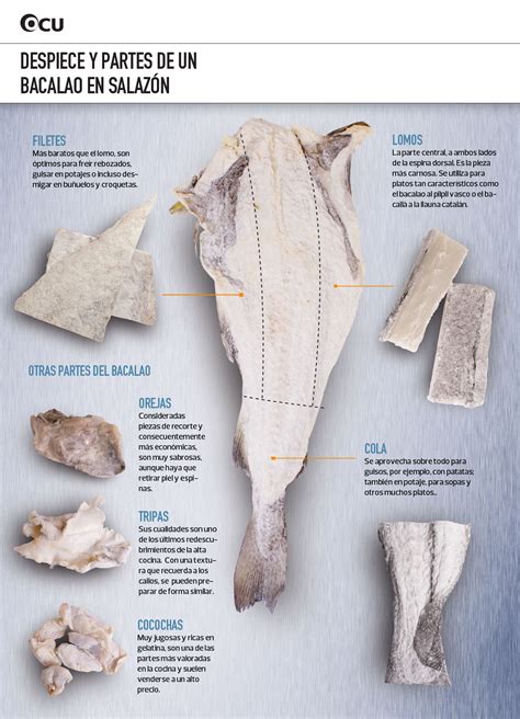 Esquema de las piezas del bacalao