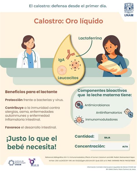Infografía sobre la importancia del calostro en corderos