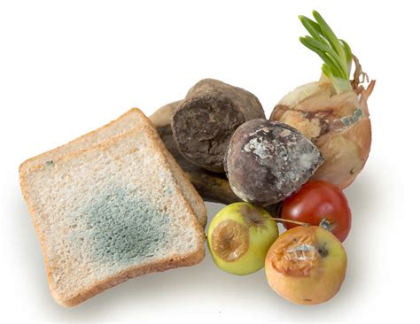 Alimentos contaminados