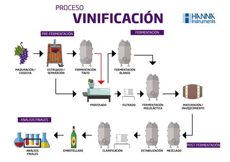 Proceso de vinificación