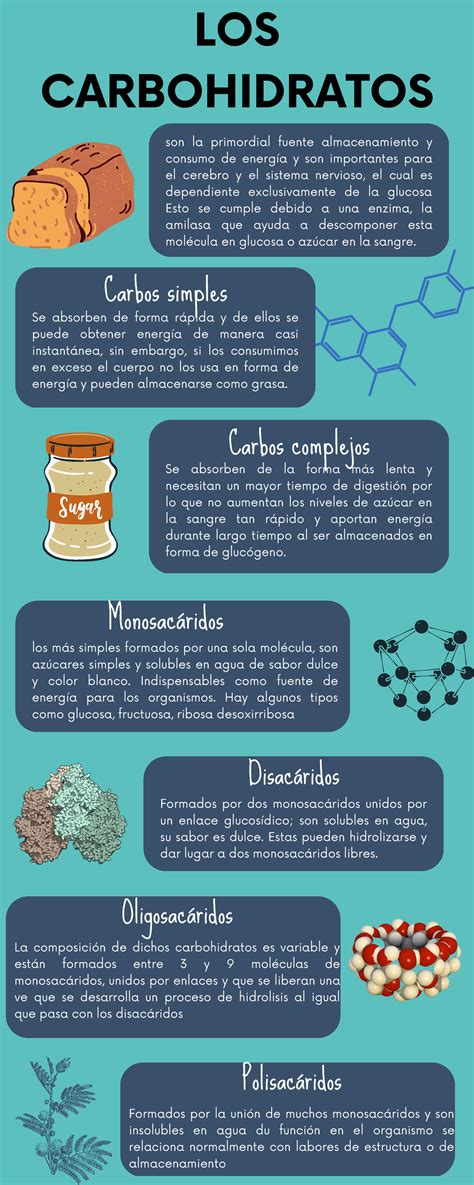Infografía sobre carbohidratos en la dieta