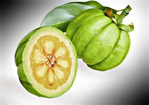 Fruto de Garcinia Cambogia