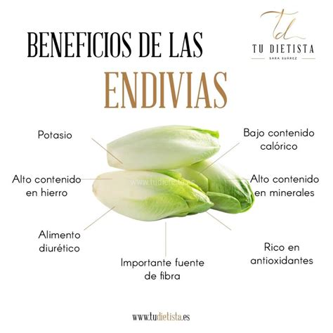 Infografía de los beneficios nutricionales de las endivias