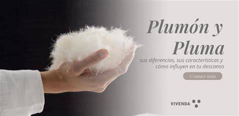 Comparativa entre plumón y plumas