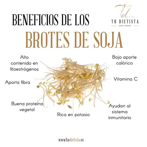 Infografía sobre los beneficios nutricionales de los brotes de soja