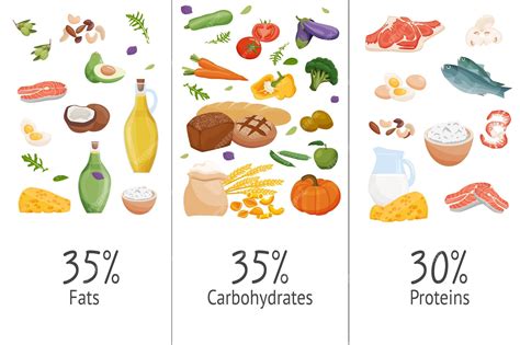 Ilustración de macronutrientes (proteínas, carbohidratos, grasas)