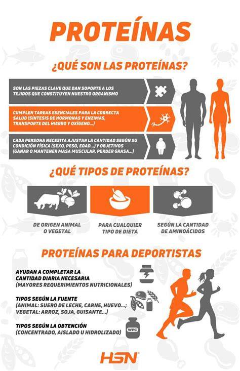 Infografía de los beneficios de las proteínas para deportistas