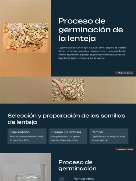 Esquema del proceso de germinación de lentejas