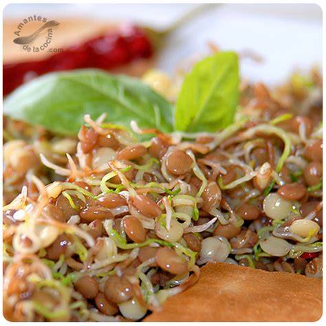 Ensalada fresca con lentejas germinadas