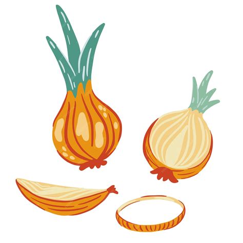 Ilustración de espinacas frescas y cebolla cortada