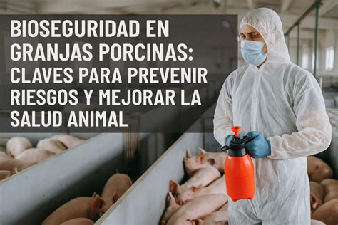 Medidas de bioseguridad en granjas porcinas para prevenir Mycoplasma hyopneumoniae