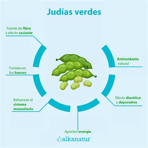 Infografía nutricional de las judías verdes