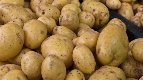 Ilustración de patatas guardadas en un lugar oscuro y seco