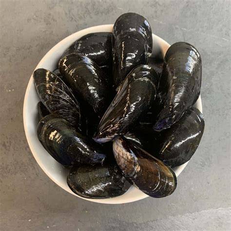 Mejillones frescos en un cuenco