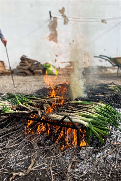 Calçots asándose a la llama de sarmientos