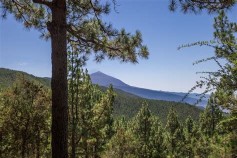 Mapa de ubicación del Paisaje Protegido de Las Lagunetas en Tenerife