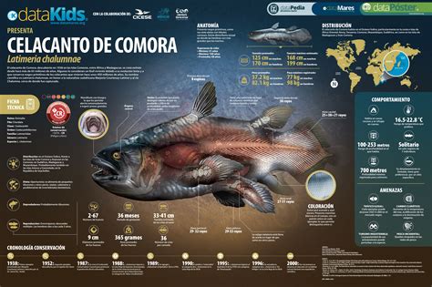Mapa de distribución del celacanto