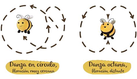 Ilustración detallada de la merluza