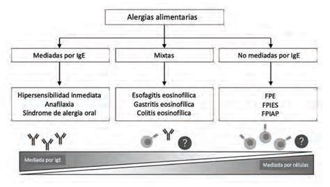 Tabla de síntomas de alergia al huevo mediada y no mediada por IgE