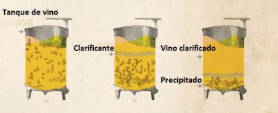 Esquema del proceso de clarificación del vino con clara de huevo
