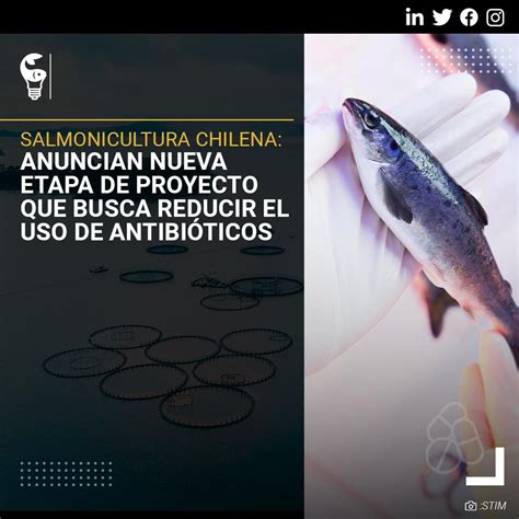 Gráfico de reducción del uso de antibióticos en la salmonicultura noruega