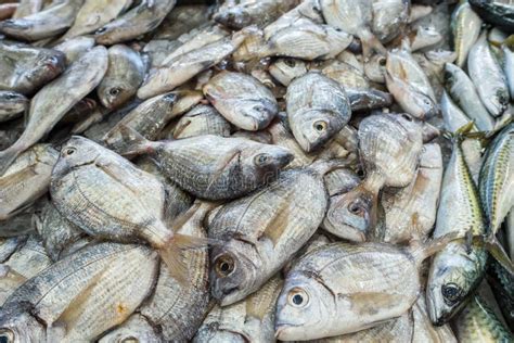 Pescado fresco en un mercado