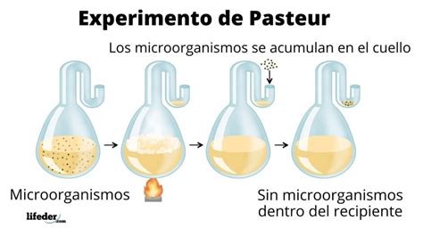 Representación de Louis Pasteur y su experimento con la fermentación