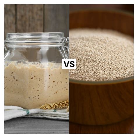 Diferencia entre la levadura comercial y la masa madre