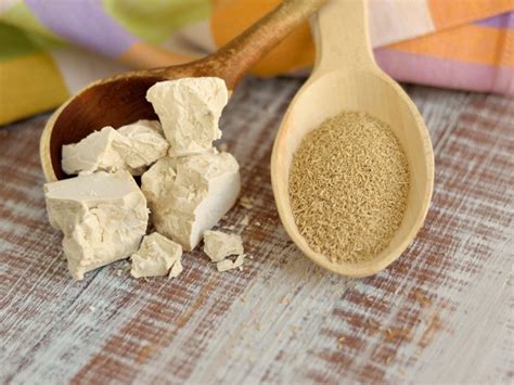 Alimentos que contienen extracto de levadura