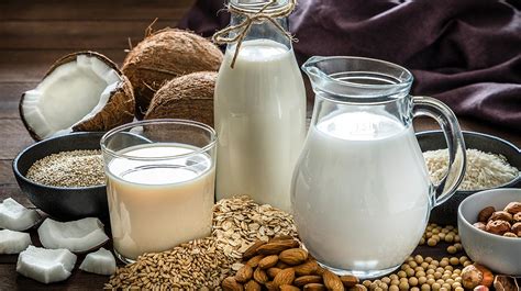 Diferentes tipos de leche vegetal