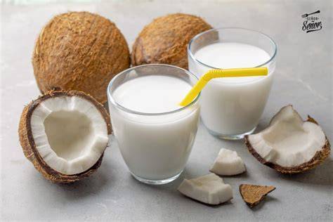 Ingredientes para hacer leche de coco casera