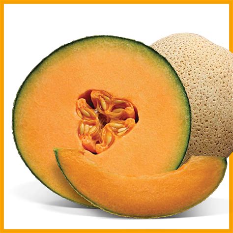 Pulpa de melón cantaloupe siendo extraída