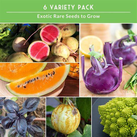 Variedad de verduras exóticas y menos conocidas