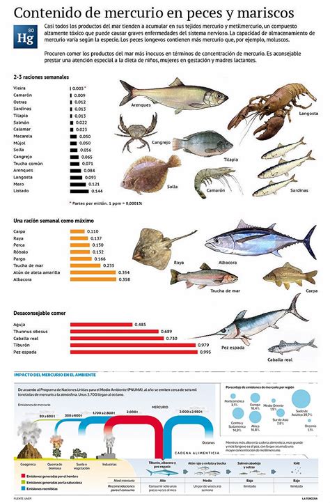 Infografía mostrando pescados con alto y bajo contenido de mercurio