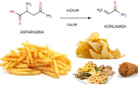Esquema de formación de acrilamida en alimentos ricos en almidón durante el cocinado