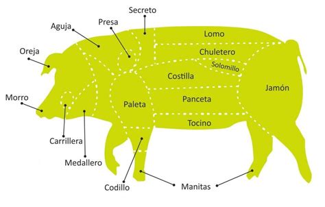 Corte del codillo de cerdo en el animal