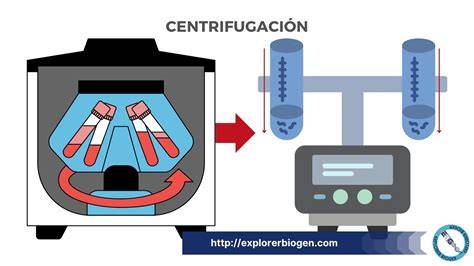 Esquema del proceso de separación de la crema de leche por centrifugación