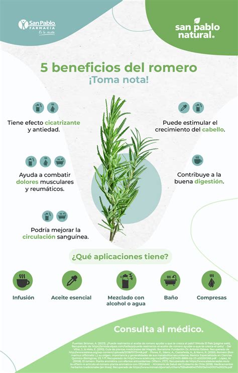 Comparativa visual entre los beneficios del agua de romero y el aceite de romero para el cabello