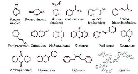 Estructura molecular de los polifenoles