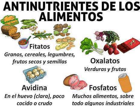 Tabla de antinutrientes y métodos de reducción