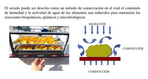 Proceso de deshidratación de pimientos