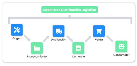 Esquema de la cadena de suministro y distribución