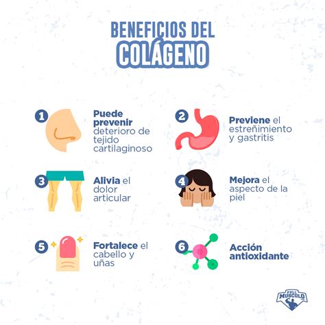 Beneficios del colágeno para la piel y articulaciones