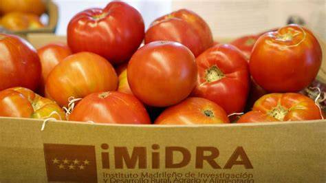 Tomates tradicionales de Madrid