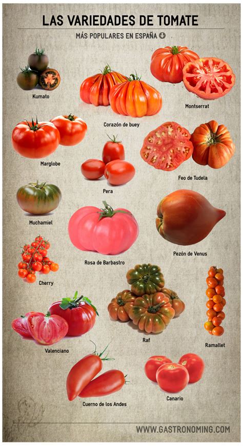 Comparación de variedades de tomates