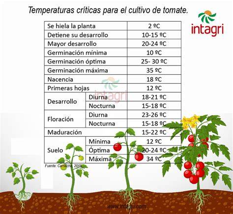 Gráfico de condiciones óptimas para el cultivo de tomate